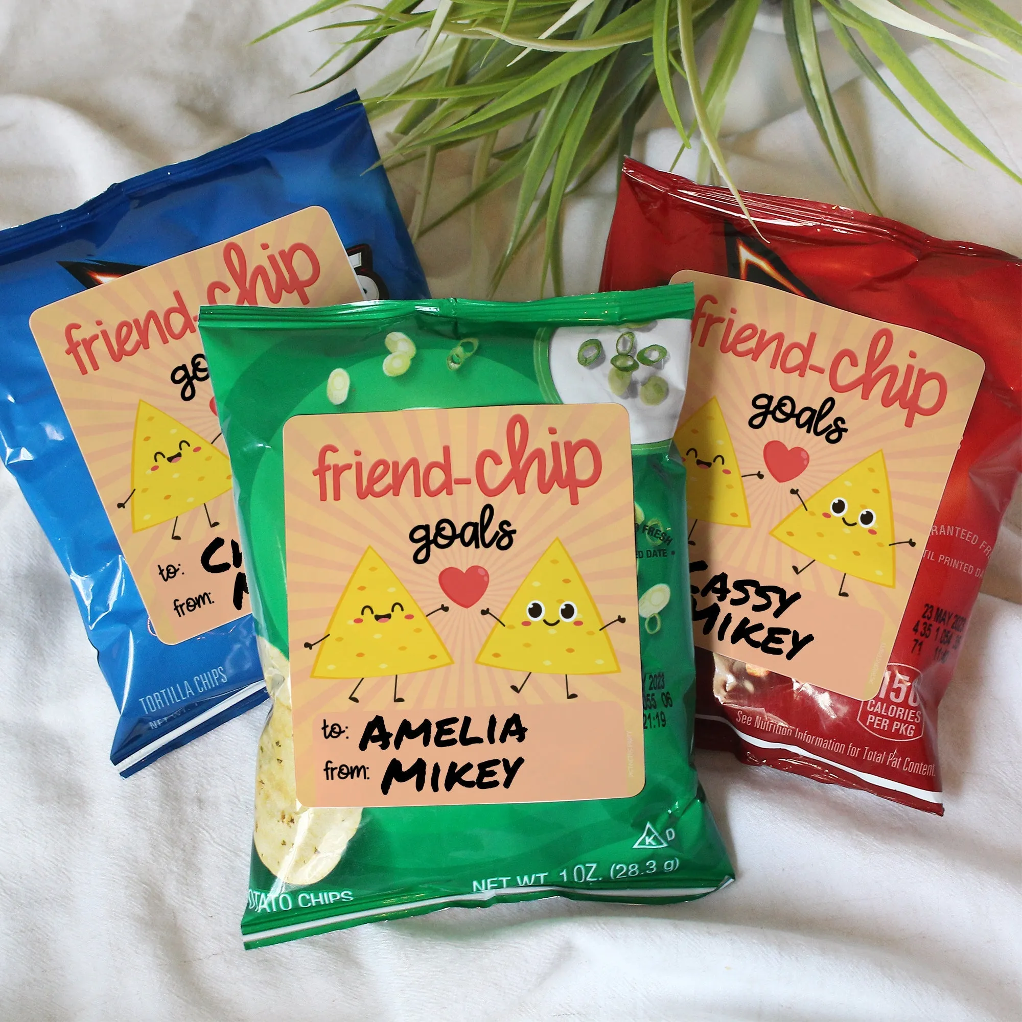 Valentine's Day Treat Stickers: Friend-Chip Goals - Chip Bag Stickers: Two Sizes - 32 Stickers